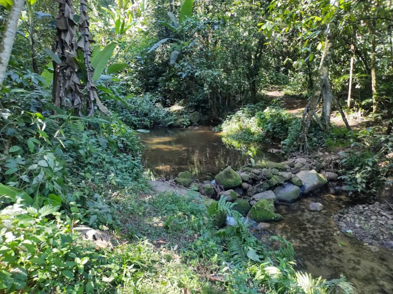 Rural - Venda - Vrzea do Corumbe - Paraty - RJ