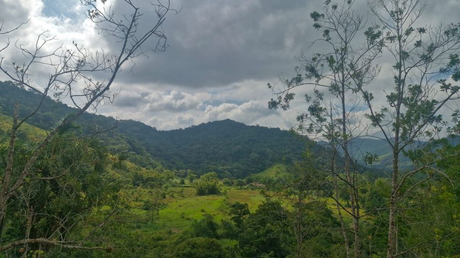 S�tio - Venda - Forguilha - Paraty - RJ